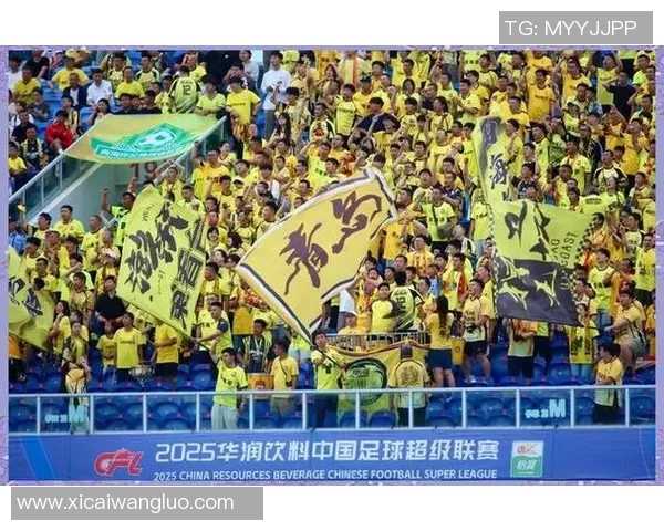 中足联发布第一批债款清偿名单：暂无国安西海岸海牛